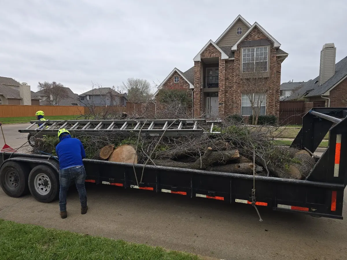 Expert Lot Clearing with proper safety equipment in Old Glory